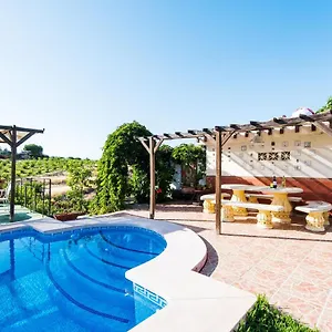 Palmeras, , Alhaurín el Grande España